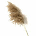 Pampas Grass Decor Plants Dried Flowers Home Wedding Decoration