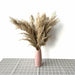 Pampas Grass Decor Plants Dried Flowers Home Wedding Decoration