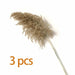Pampas Grass Decor Plants Dried Flowers Home Wedding Decoration