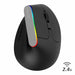 Delux M618C Wireless Gaming Mouse Ergonomic Vertical 6 Buttons RGB 1600 DPI Optical Mice