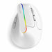 Delux M618C Wireless Gaming Mouse Ergonomic Vertical 6 Buttons RGB 1600 DPI Optical Mice