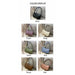 Crocodile Pattern Baguette Bags Women Fashion PU Leather Shoulder Bag Ladies Purse