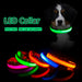USB Charging Led Dog Collar Anti-Lost Visible In Dark Collar For Dogs