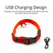 USB Charging Led Dog Collar Anti-Lost Visible In Dark Collar For Dogs