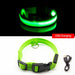 USB Charging Led Dog Collar Anti-Lost Visible In Dark Collar For Dogs