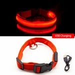 USB Charging Led Dog Collar Anti-Lost Visible In Dark Collar For Dogs
