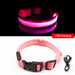 USB Charging Led Dog Collar Anti-Lost Visible In Dark Collar For Dogs