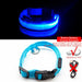 USB Charging Led Dog Collar Anti-Lost Visible In Dark Collar For Dogs