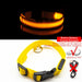 USB Charging Led Dog Collar Anti-Lost Visible In Dark Collar For Dogs