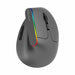 Delux M618C Wireless Gaming Mouse Ergonomic Vertical 6 Buttons RGB 1600 DPI Optical Mice