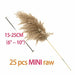 Pampas Grass Decor Plants Dried Flowers Home Wedding Decoration