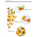12Pcs Double layer 3D Butterfly Wall Stickers Home Decor
