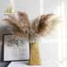 Pampas Grass Decor Plants Dried Flowers Home Wedding Decoration