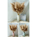 Pampas Grass Decor Plants Dried Flowers Home Wedding Decoration
