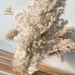 Pampas Grass Decor Plants Dried Flowers Home Wedding Decoration
