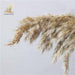 Pampas Grass Decor Plants Dried Flowers Home Wedding Decoration