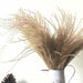 Pampas Grass Decor Plants Dried Flowers Home Wedding Decoration