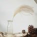 Pampas Grass Decor Plants Dried Flowers Home Wedding Decoration