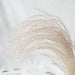 Pampas Grass Decor Plants Dried Flowers Home Wedding Decoration