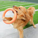 Pet Flying Discs Dog Training Ring Puller Resistant Bite Floating Toy