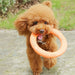 Pet Flying Discs Dog Training Ring Puller Resistant Bite Floating Toy