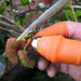 Silicone Thumb Knife Protector Vegetable Harvesting Finger Blade Garden Tools