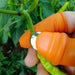 Silicone Thumb Knife Protector Vegetable Harvesting Finger Blade Garden Tools