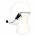 Portable Voice Amplifier PR16R Teacher Microphone Speaker 12W FM Recording Mp3 Player