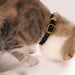 Cat Collar With Bell Beautiful Luxury Kittens Solid Pet Collar