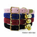 Cat Collar With Bell Beautiful Luxury Kittens Solid Pet Collar