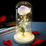 Artificial Eternal Rose LED Light Beauty & The Beast In Glass Cover Home Decor Gift