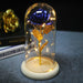 Artificial Eternal Rose LED Light Beauty & The Beast In Glass Cover Home Decor Gift