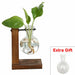 Terrarium Hydroponic Plant Vases Vintage Flower Pot Transparent Vase Wooden Frame Glass Tabletop Plants Home Decor