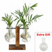Terrarium Hydroponic Plant Vases Vintage Flower Pot Transparent Vase Wooden Frame Glass Tabletop Plants Home Decor