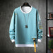Solid Color Sweatshirt Casual Cotton Sweatshirts For Men