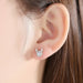 Creative Stylish Elk Crystal Deer Stud Earrings Women Fashion Jewelry