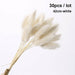 Bulrush Natural Dried Small Pampas Grass Artificial Plant Flower for Home Decor
