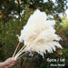 Bulrush Natural Dried Small Pampas Grass Artificial Plant Flower for Home Decor