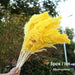 Bulrush Natural Dried Small Pampas Grass Artificial Plant Flower for Home Decor