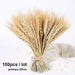 Bulrush Natural Dried Small Pampas Grass Artificial Plant Flower for Home Decor
