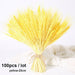 Bulrush Natural Dried Small Pampas Grass Artificial Plant Flower for Home Decor