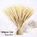 Bulrush Natural Dried Small Pampas Grass Artificial Plant Flower for Home Decor