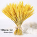 Bulrush Natural Dried Small Pampas Grass Artificial Plant Flower for Home Decor
