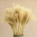 Bulrush Natural Dried Small Pampas Grass Artificial Plant Flower for Home Decor