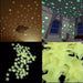 100PCS Luminous Wall Stickers Glow In The Dark Stars Sticker Decals for Kids room Fluorescent Stickers Home decor