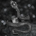 Men Women Punk Gothic Snake Dragon Silver Plated Rings Adjustable Vintage Jewelry