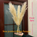 Pampas Grass Decor Plants Dried Flowers Home Wedding Decoration