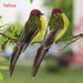 Artificial Birds Foam Animal Models Wedding Home Garden Decoration
