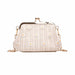 Straw Woven Bag Daisy Clip Temperament Women Shoulder Messenger Small Handbag