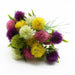 5 Pieces PVC Dandelion Household Artificial Flowers Wedding Home Decor